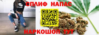 индика Краснознаменск